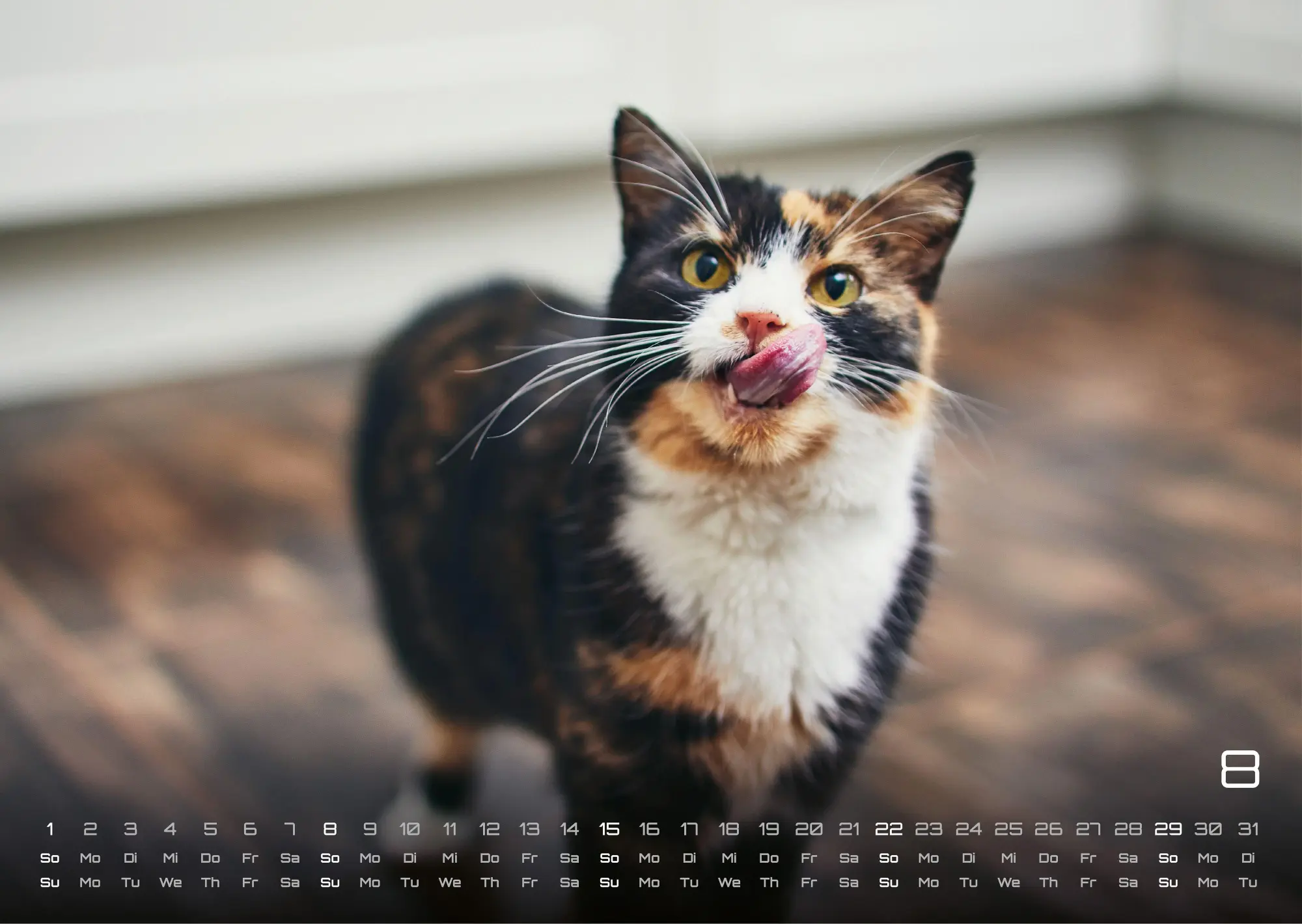 Bild: 9783986736385 | Miau - Unsere Stubentiger - Der Katzenkalender - 2027 - Kalender...