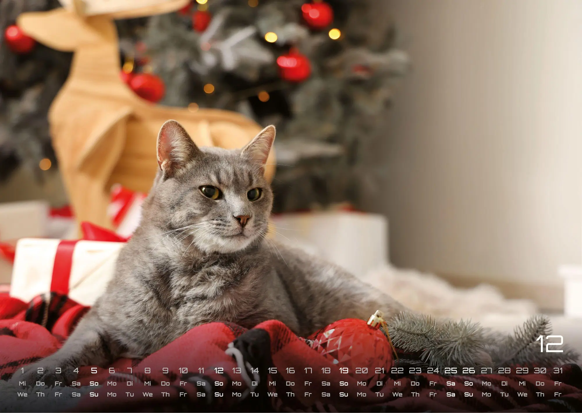 Bild: 9783986736385 | Miau - Unsere Stubentiger - Der Katzenkalender - 2027 - Kalender...
