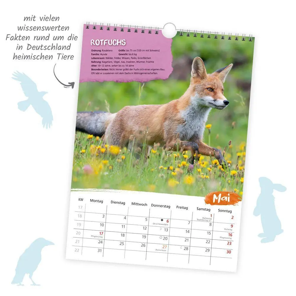 Bild: 9783988026385 | TRÖTSCH - Classickalender Heimische Tierwelt 2027 | Wandkalender | KG