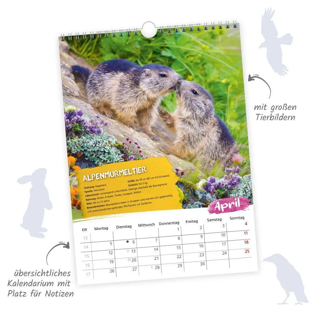 Bild: 9783988026385 | TRÖTSCH - Classickalender Heimische Tierwelt 2027 | Wandkalender | KG