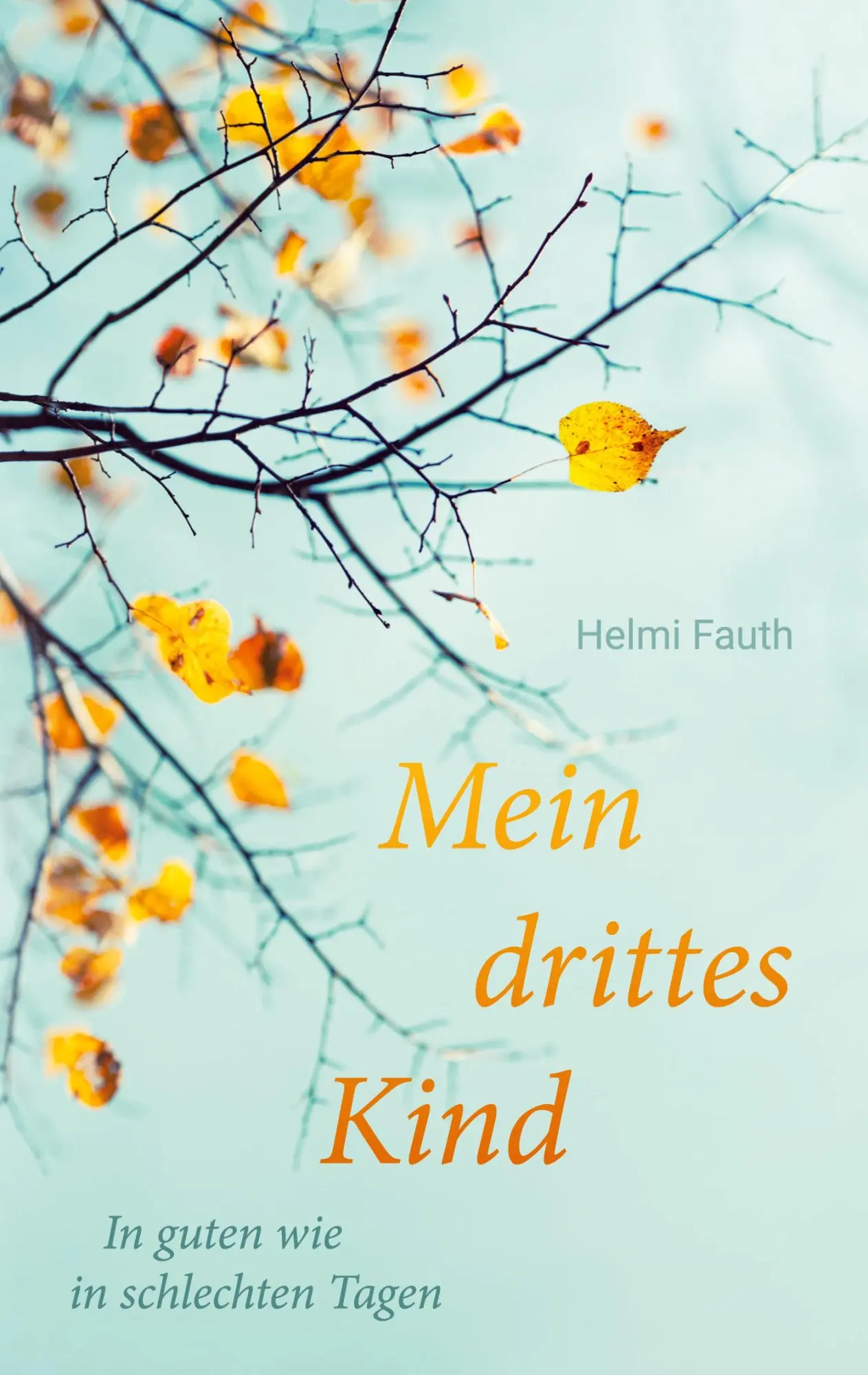 Cover: 9783755746485 | Mein drittes Kind | In guten wie in schlechten Tagen | Helmi Fauth