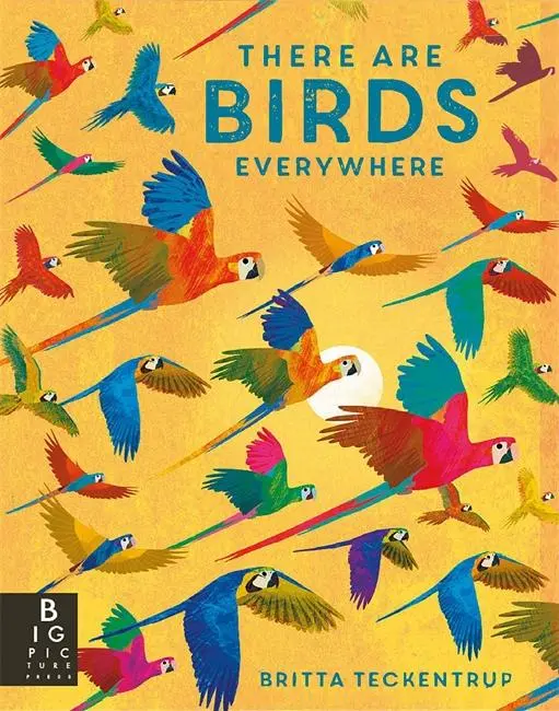 Cover: 9781800786585 | There are Birds Everywhere | Camilla De La Bedoyere | Taschenbuch