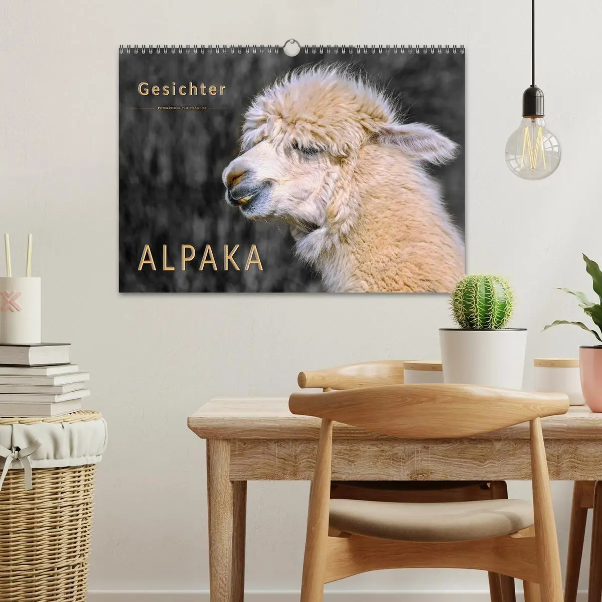 Bild: 9783569786585 | Alpaka Gesichter (Wandkalender 2027 DIN A3 quer), CALVENDO...