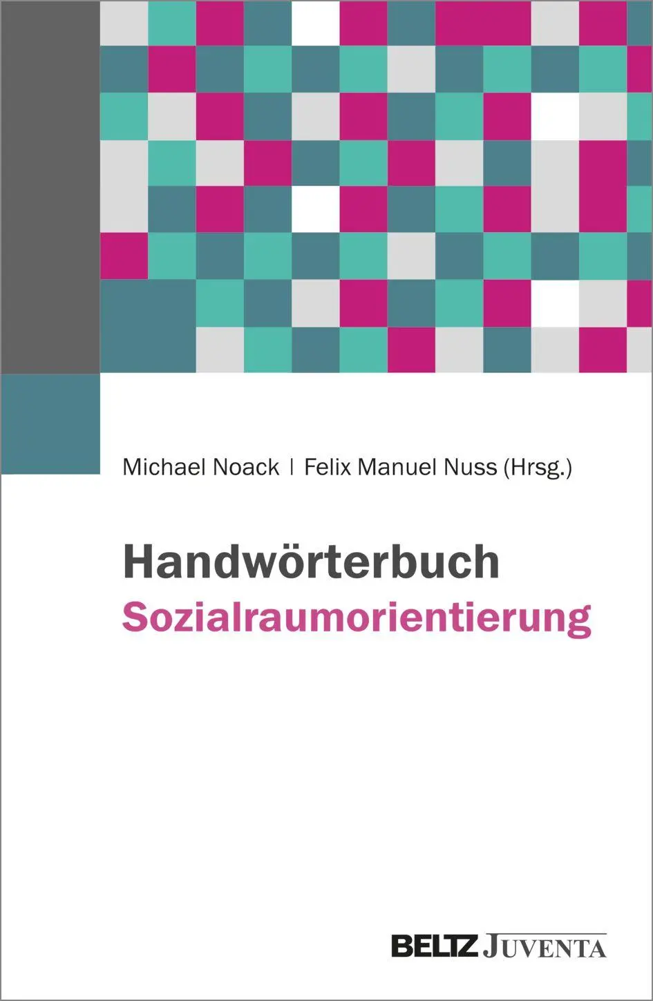 Cover: 9783779976585 | Handwörterbuch Sozialraumorientierte Soziale Arbeit | Noack (u. a.)