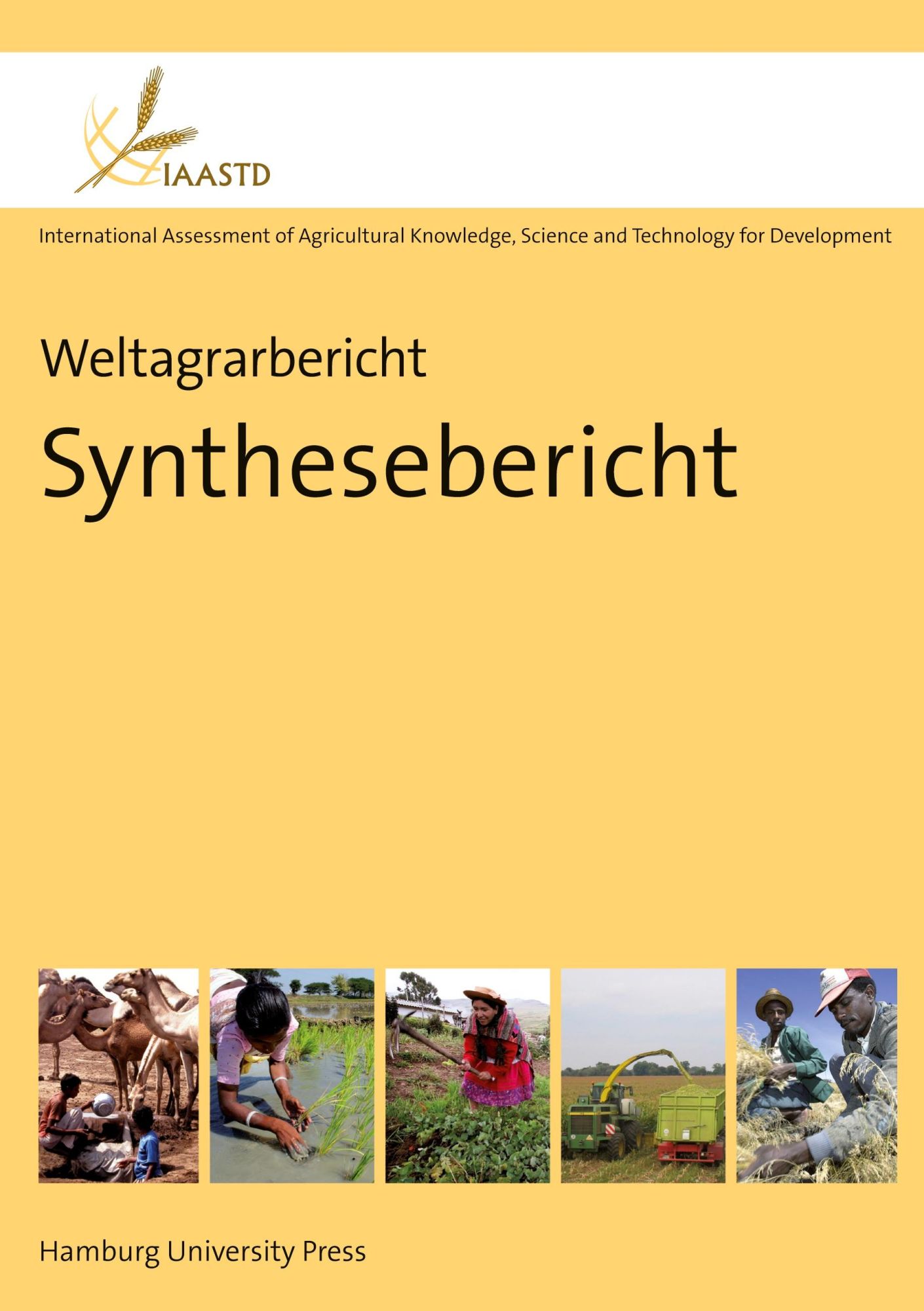 Cover: 9783937816685 | Weltagrarbericht: Synthesebericht | Albert Engel (u. a.) | Buch | 2009