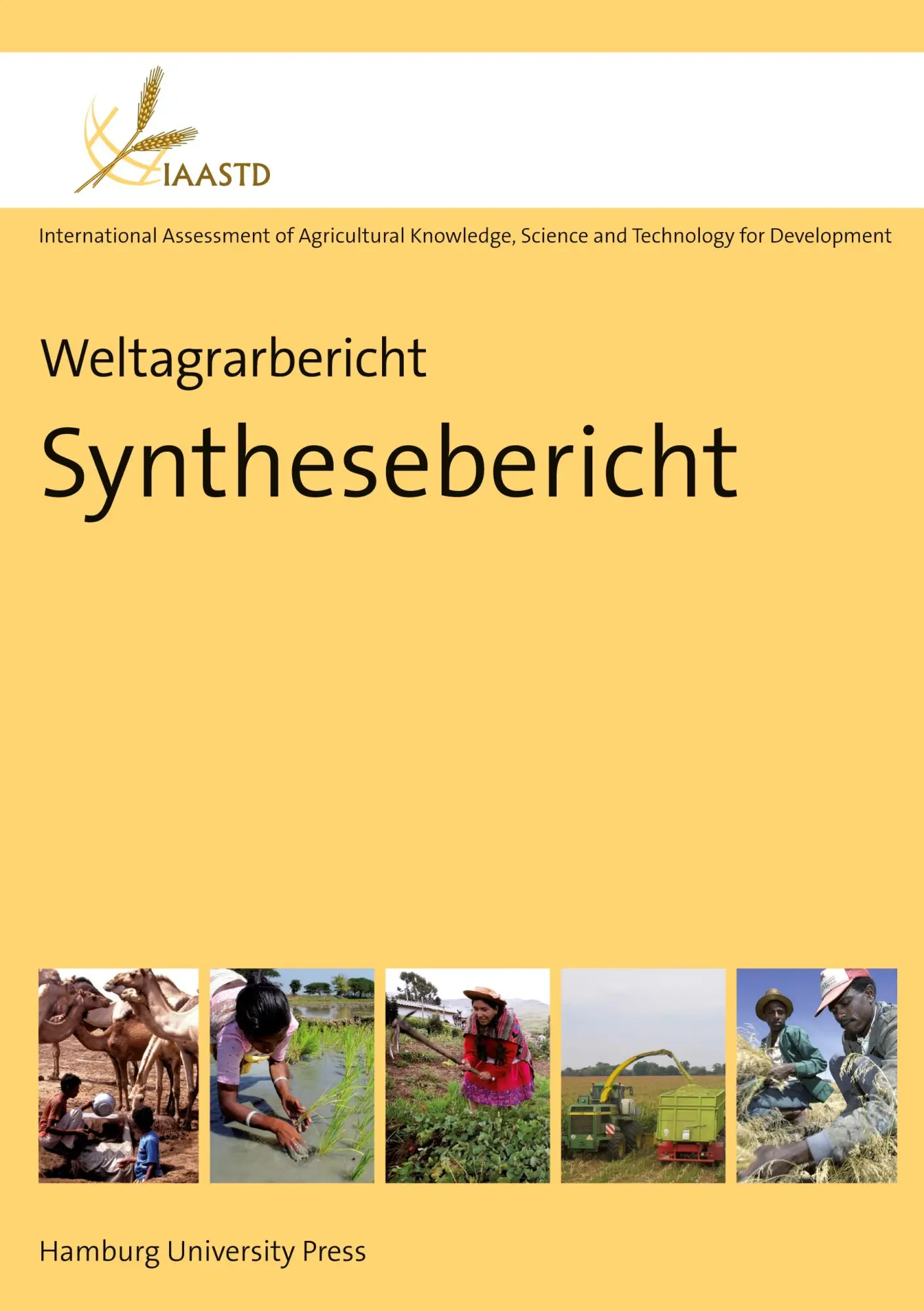 Cover: 9783937816685 | Weltagrarbericht: Synthesebericht | Albert Engel (u. a.) | Buch | 2009