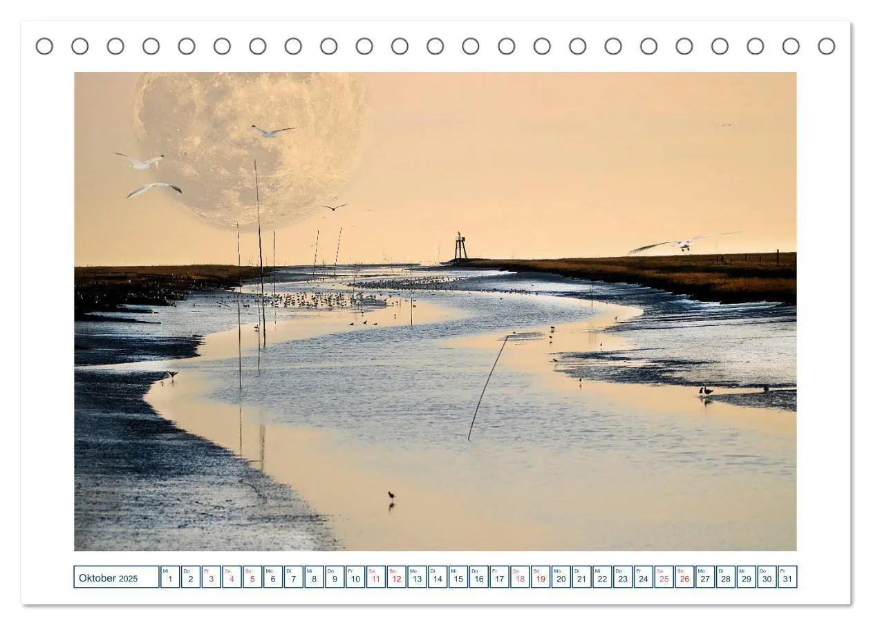 Bild: 9783435186785 | MoonMania (Tischkalender 2025 DIN A5 quer), CALVENDO Monatskalender