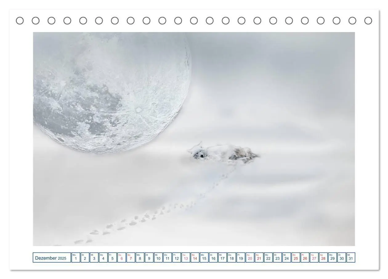Bild: 9783435186785 | MoonMania (Tischkalender 2025 DIN A5 quer), CALVENDO Monatskalender