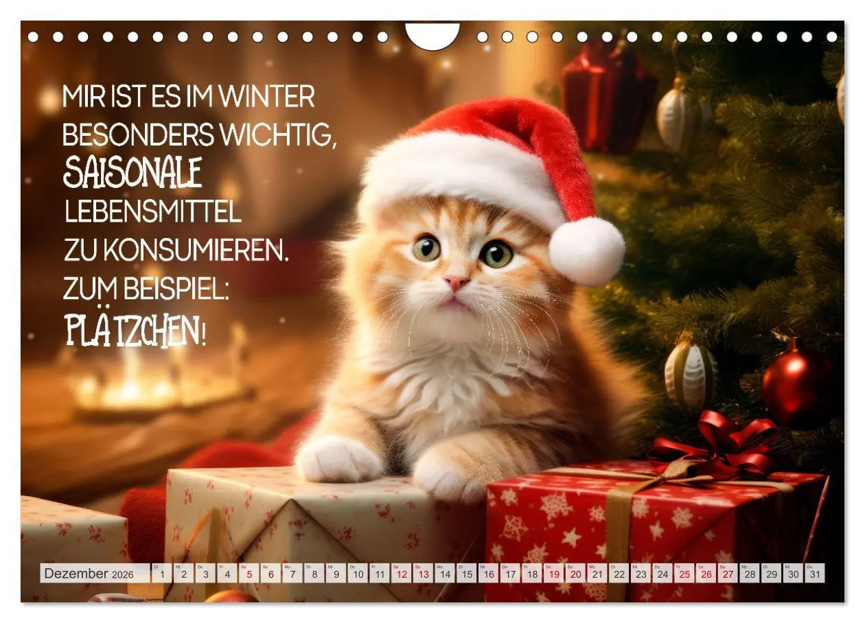 Bild: 9783457346785 | Süße Katzen und coole Sprüche (Wandkalender 2026 DIN A4 quer),...