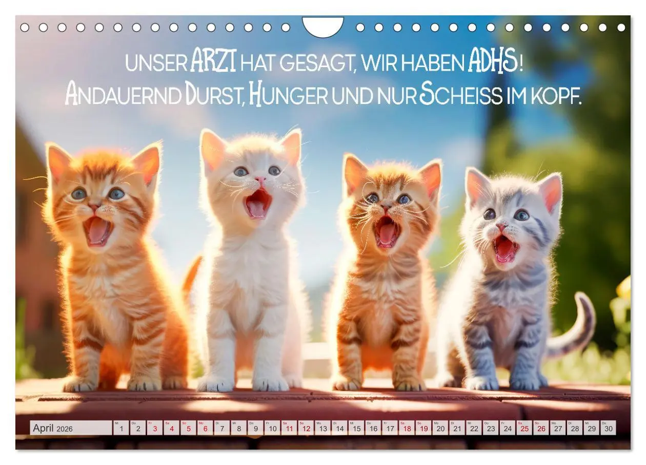 Bild: 9783457346785 | Süße Katzen und coole Sprüche (Wandkalender 2026 DIN A4 quer),...