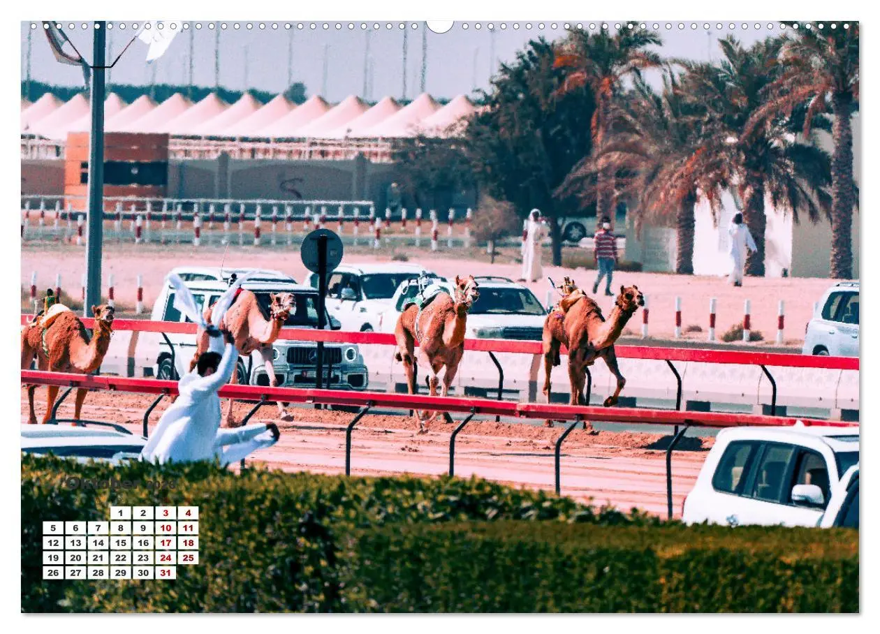 Bild: 9783457416785 | Die Emirate - Im Land der sieben Seelen (Wandkalender 2026 DIN A2...