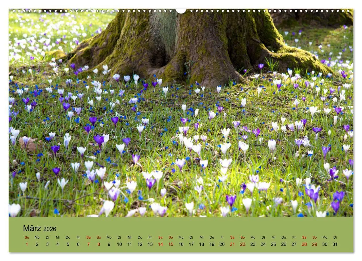 Bild: 9783457726785 | Kurpark Baden-Baden (hochwertiger Premium Wandkalender 2026 DIN A2...