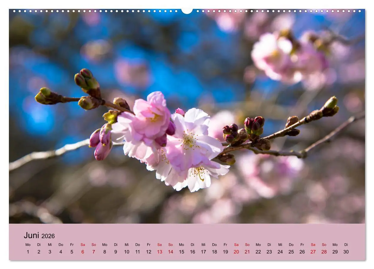 Bild: 9783457726785 | Kurpark Baden-Baden (hochwertiger Premium Wandkalender 2026 DIN A2...