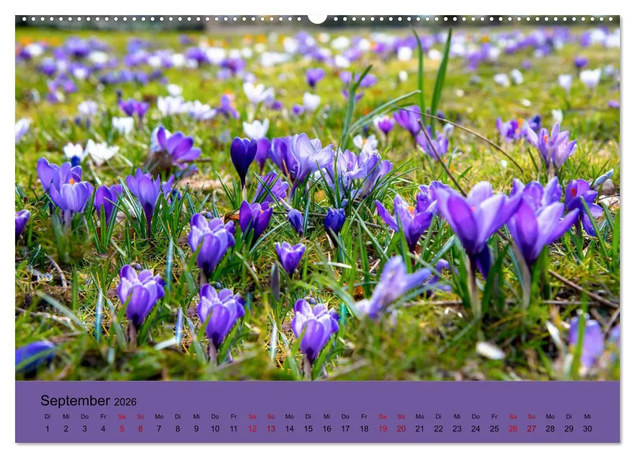 Bild: 9783457726785 | Kurpark Baden-Baden (hochwertiger Premium Wandkalender 2026 DIN A2...