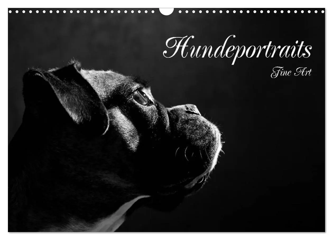 Cover: 9783457896785 | Hundeportraits Fine Art (Wandkalender 2026 DIN A3 quer), CALVENDO...