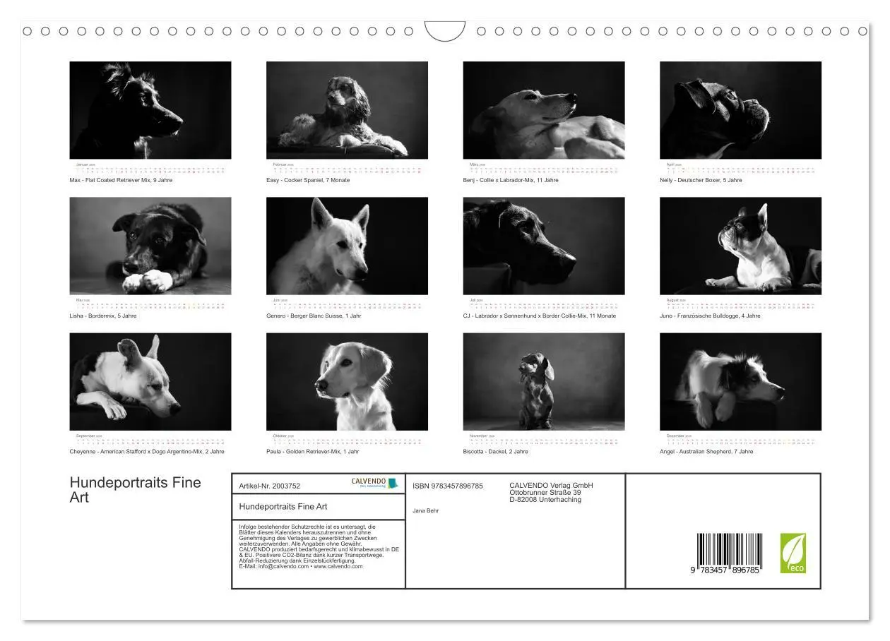 Bild: 9783457896785 | Hundeportraits Fine Art (Wandkalender 2026 DIN A3 quer), CALVENDO...