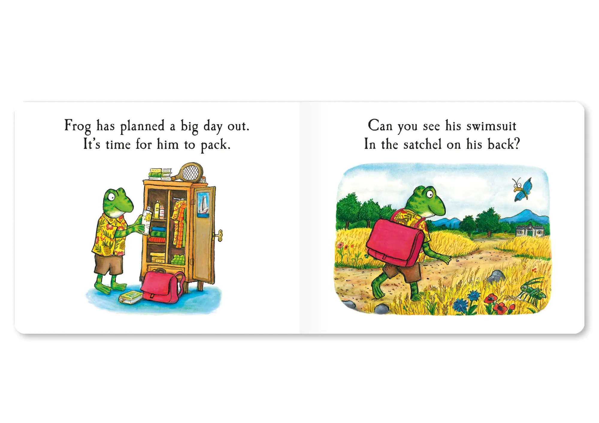 Bild: 9781035006885 | Frog's Day Out | A Lift-the-flap Story | Julia Donaldson | Buch | 2024