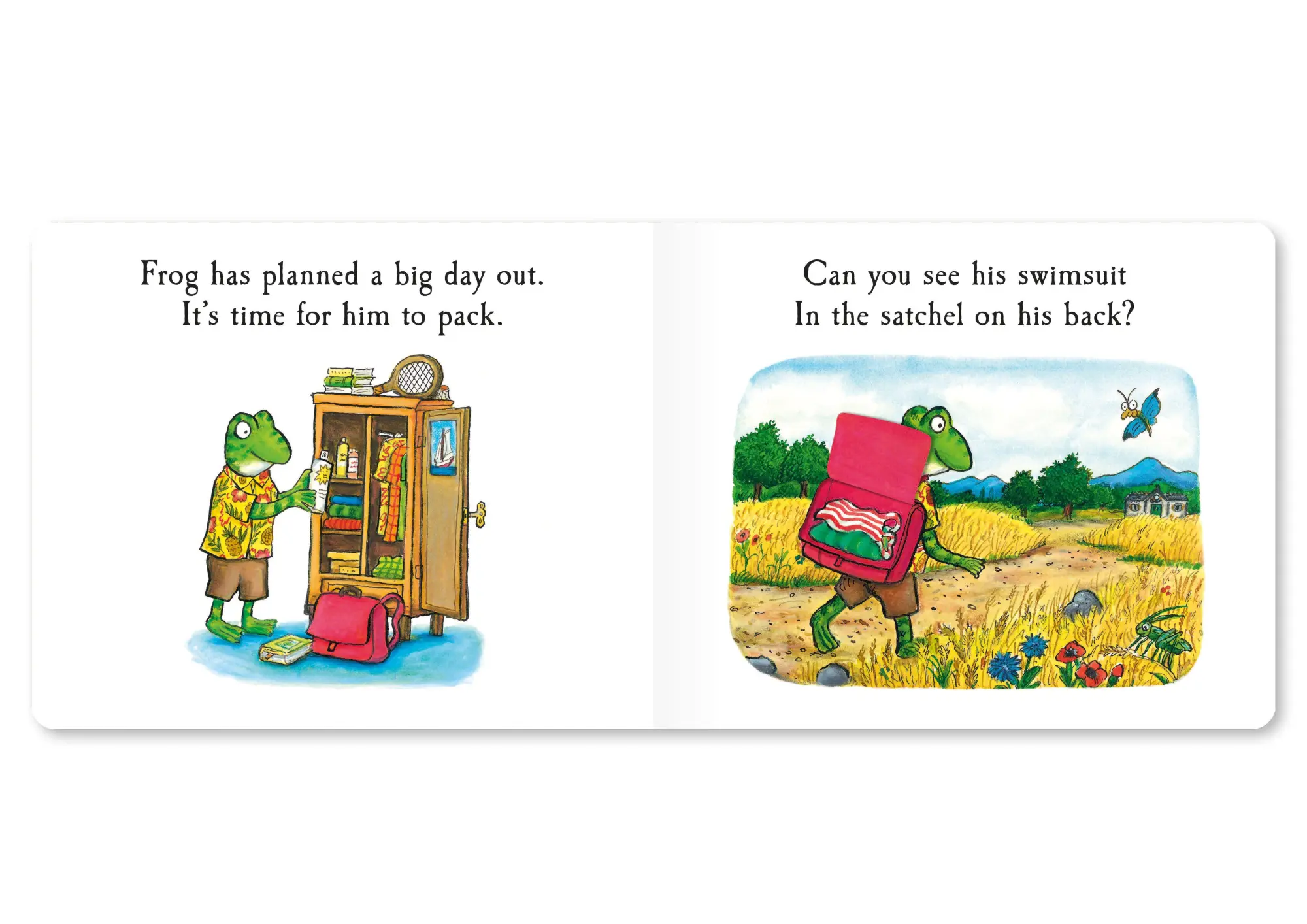 Bild: 9781035006885 | Frog's Day Out | A Lift-the-flap Story | Julia Donaldson | Buch | 2024