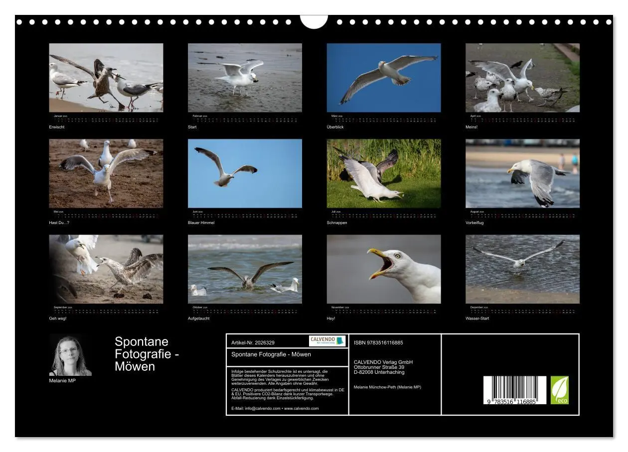Bild: 9783516116885 | Spontane Fotografie - Möwen (Wandkalender 2026 DIN A3 quer),...