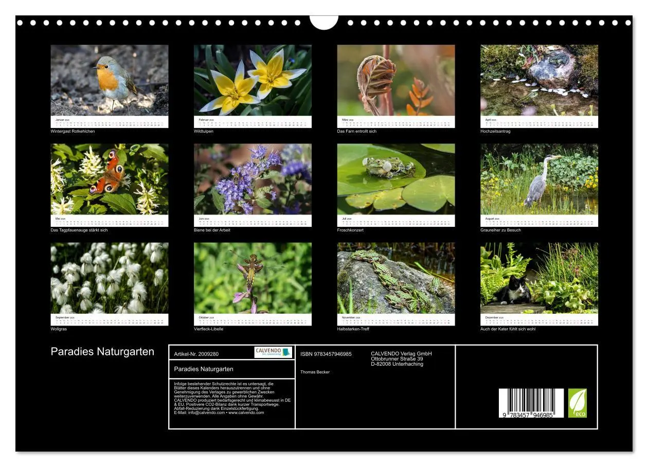 Bild: 9783457946985 | Paradies Naturgarten (Wandkalender 2026 DIN A3 quer), CALVENDO...