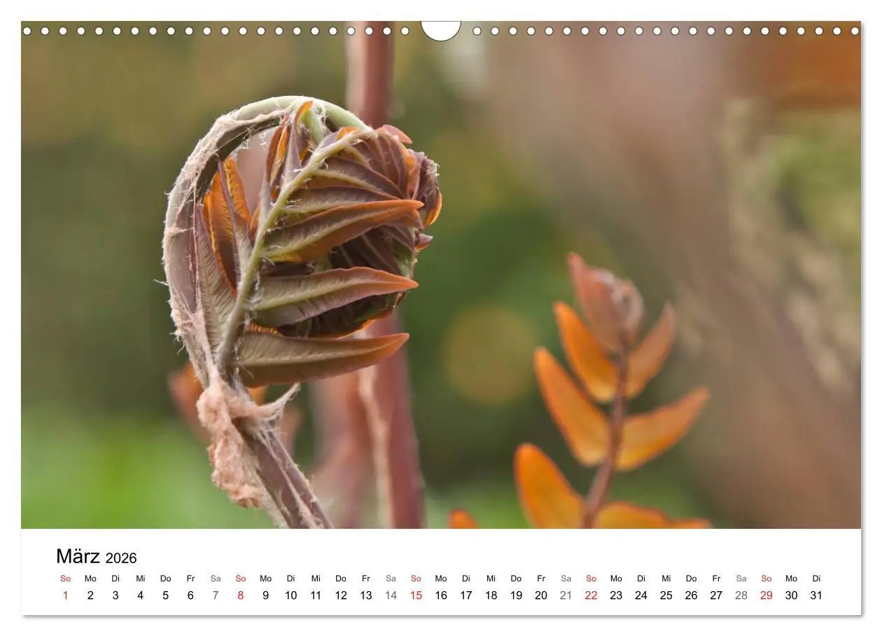 Bild: 9783457946985 | Paradies Naturgarten (Wandkalender 2026 DIN A3 quer), CALVENDO...