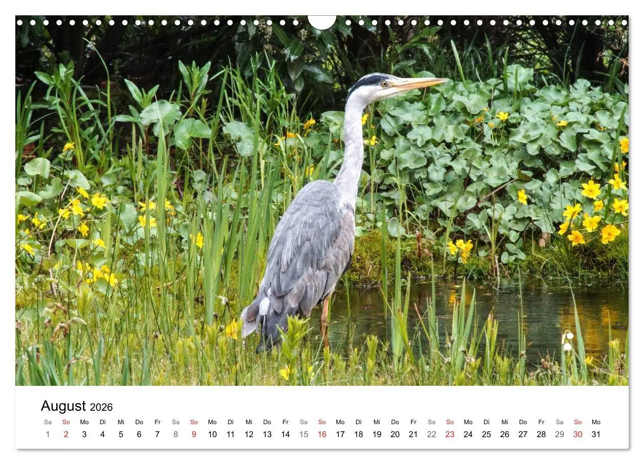 Bild: 9783457946985 | Paradies Naturgarten (Wandkalender 2026 DIN A3 quer), CALVENDO...