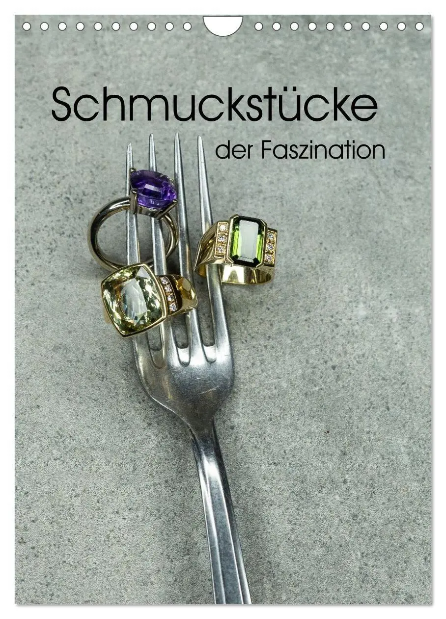 Cover: 9783516656985 | Schmuckstücke der Faszination (Wandkalender 2026 DIN A4 hoch),...
