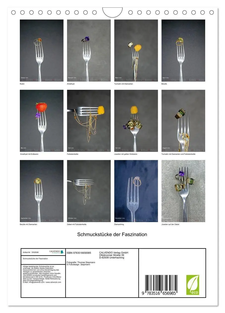 Bild: 9783516656985 | Schmuckstücke der Faszination (Wandkalender 2026 DIN A4 hoch),...