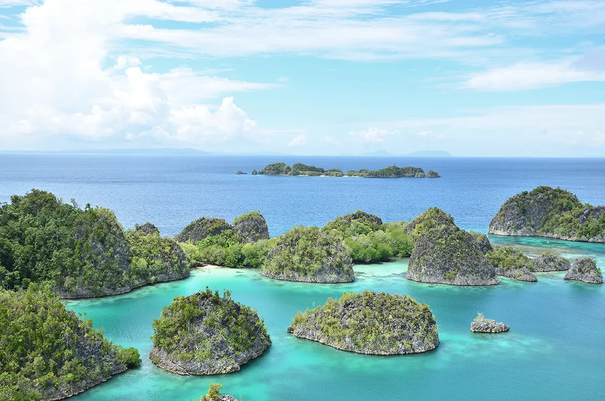 Bild: 9783772526985 | Neuseeland, Papua und Vanuatu | Johannes F. Brakel | Buch | 274 S.