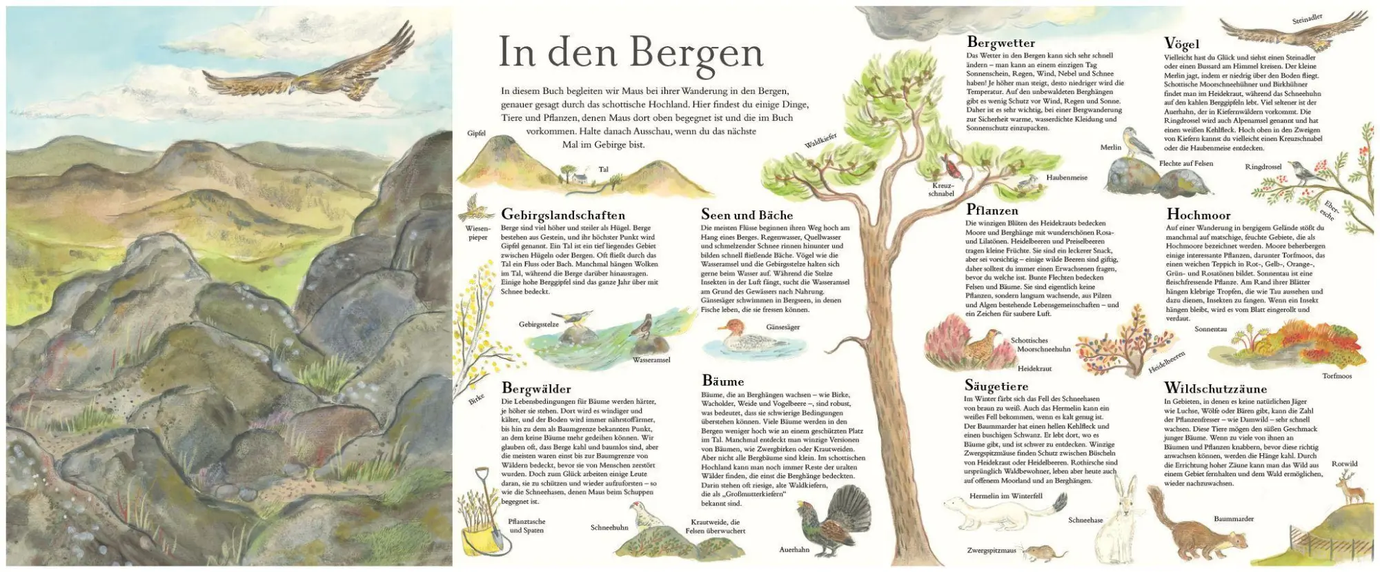 Bild: 9783956146985 | Mit Maus in den Bergen | Eine Wanderung durch die Natur | Alice Melvin