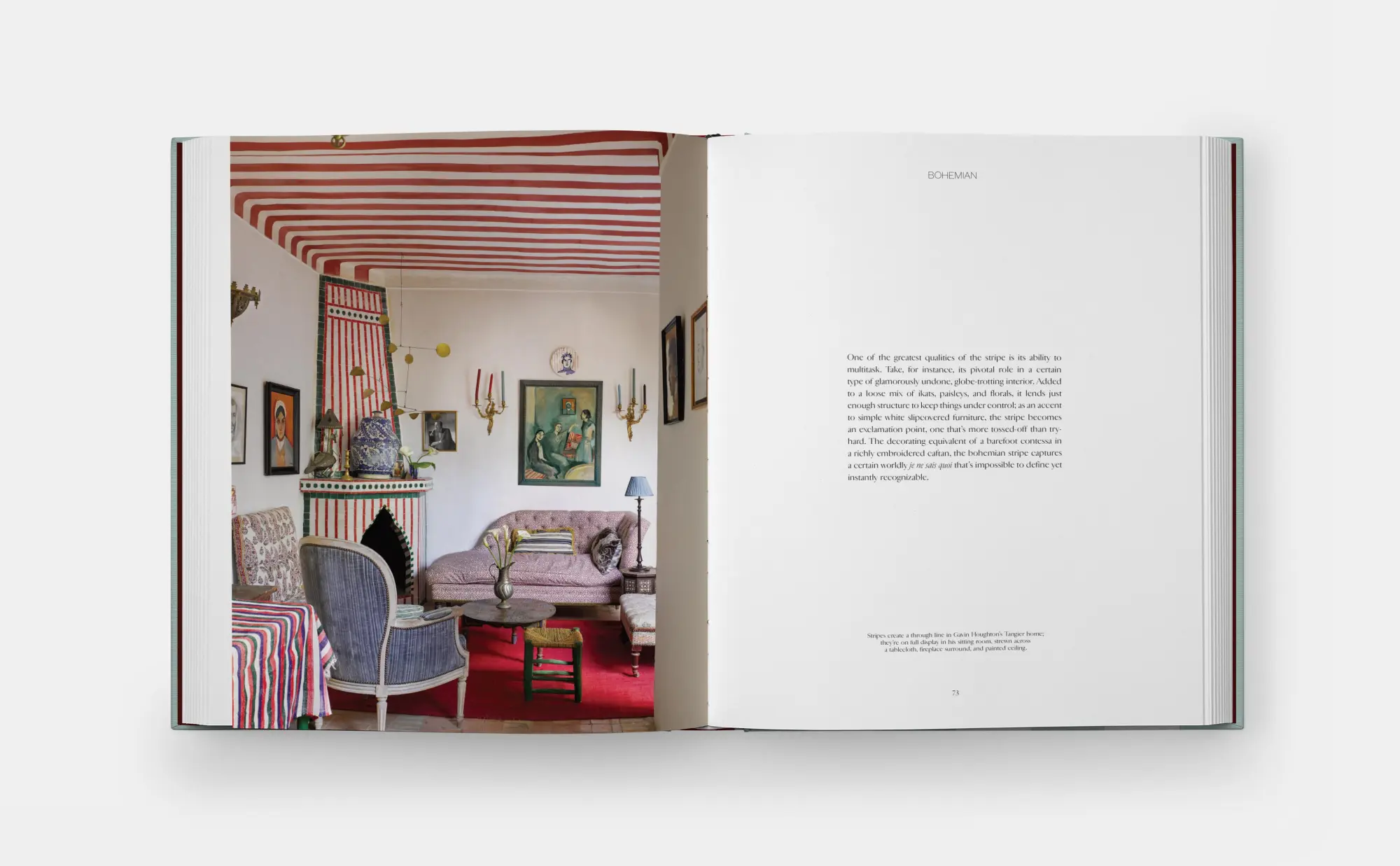 Bild: 9781580937085 | Everybody Loves Stripes | Decorating Between the Lines | Flint | Buch