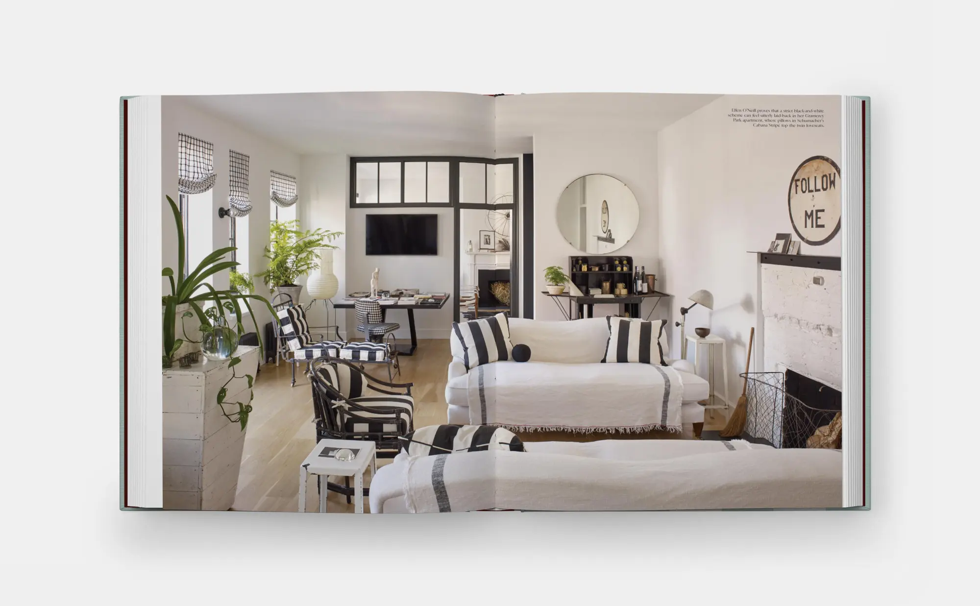 Bild: 9781580937085 | Everybody Loves Stripes | Decorating Between the Lines | Flint | Buch