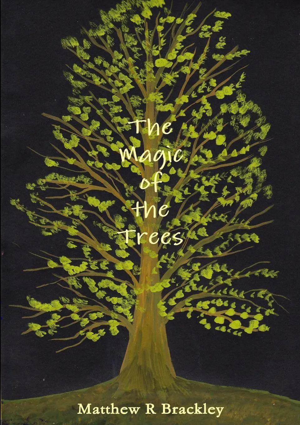Cover: 9781291777185 | The Magic of the Trees | Matthew R Brackley | Taschenbuch | Englisch