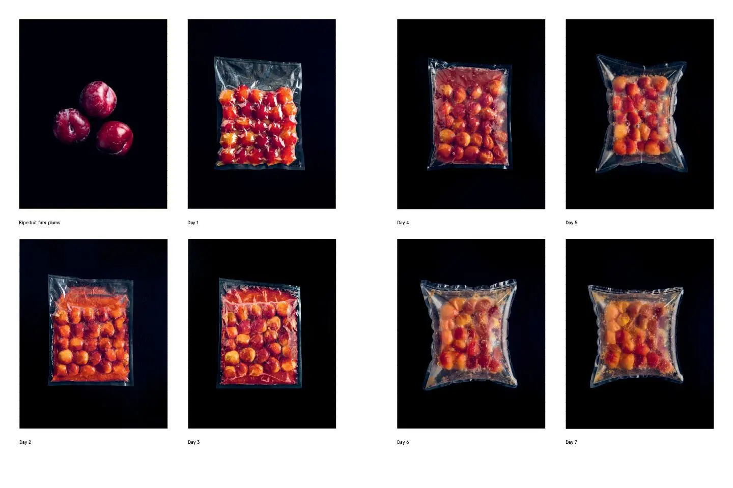 Bild: 9781579657185 | Foundations of Flavor: The Noma Guide to Fermentation | Buch | 2018