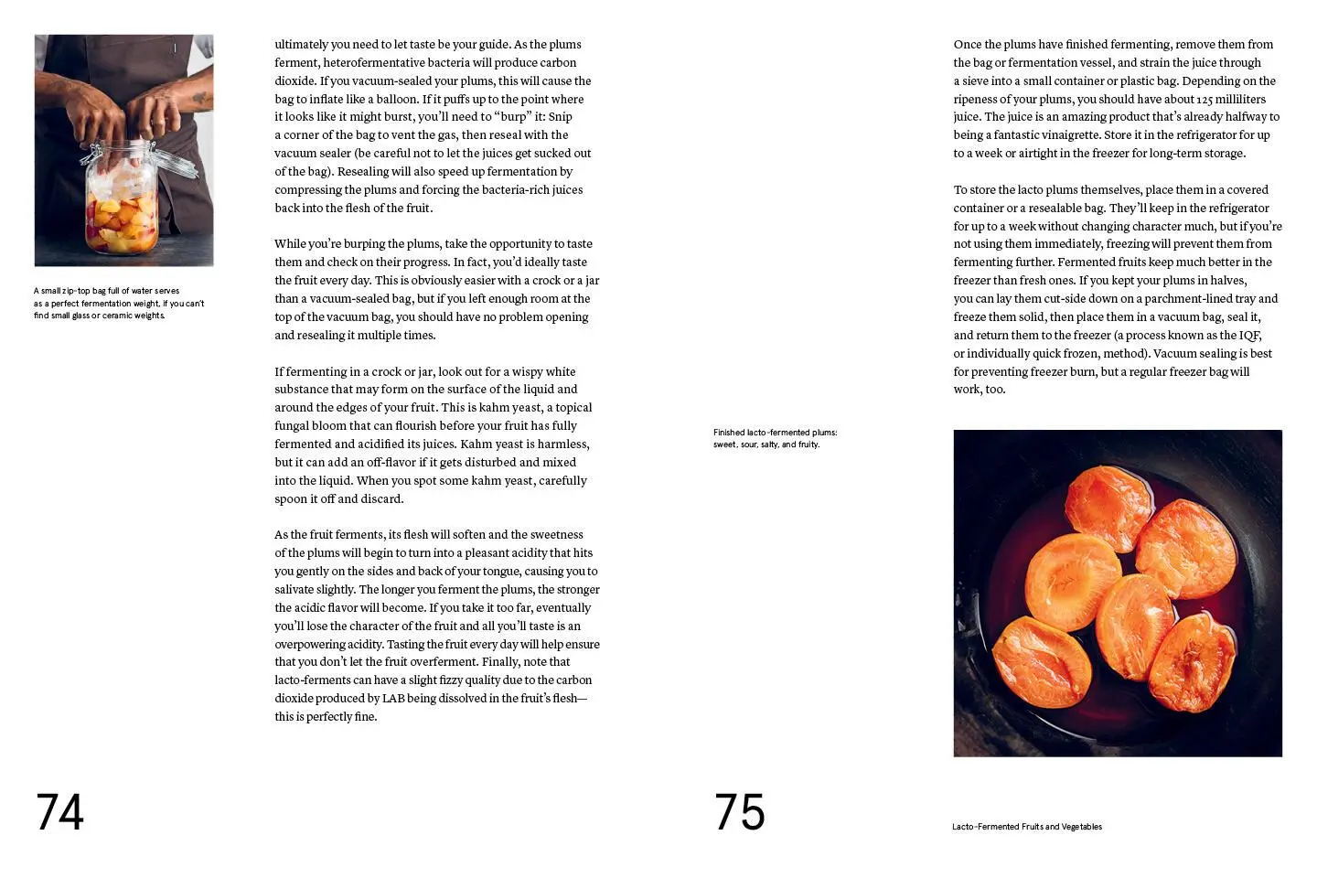 Bild: 9781579657185 | Foundations of Flavor: The Noma Guide to Fermentation | Buch | 2018
