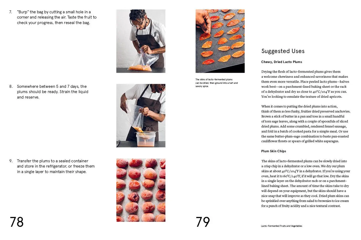 Bild: 9781579657185 | Foundations of Flavor: The Noma Guide to Fermentation | Buch | 2018