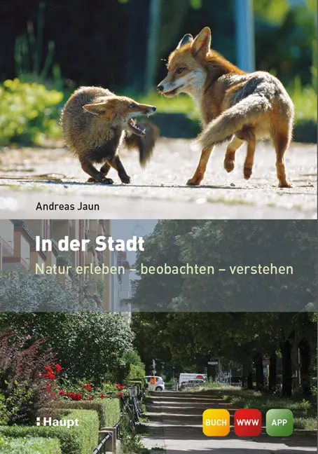 Cover: 9783258077185 | In der Stadt | Natur erleben - beobachten - verstehen | Andreas Jaun