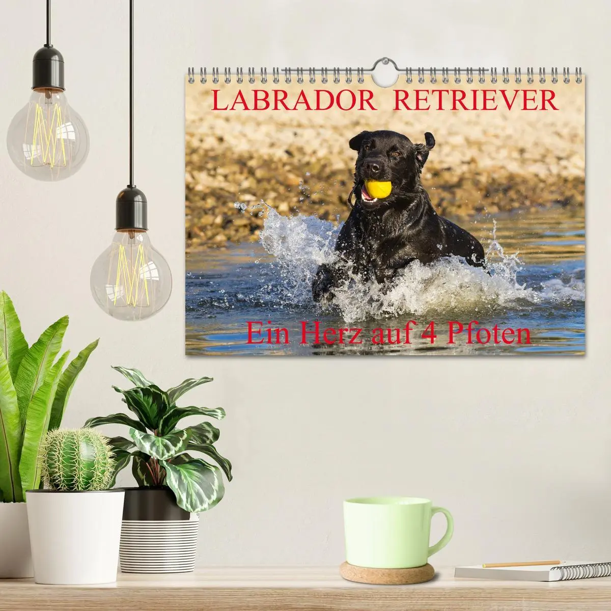 Bild: 9783516087185 | Labrador Retriever - ein Herz auf 4 Pfoten (Wandkalender 2026 DIN...