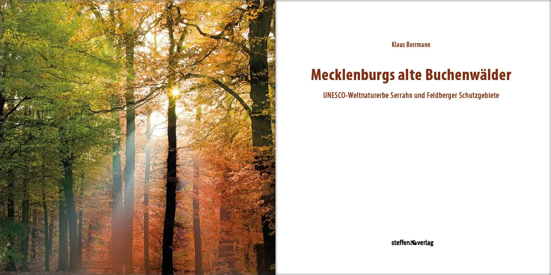 Bild: 9783942477185 | Mecklenburgs alte Buchenwälder | Klaus Borrmann | Buch | Gebunden