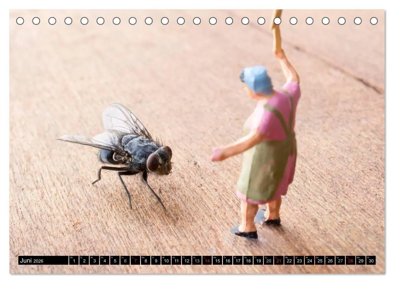 Bild: 9783516217285 | Überleben in der großen Welt - HO Figuren (Tischkalender 2026 DIN...