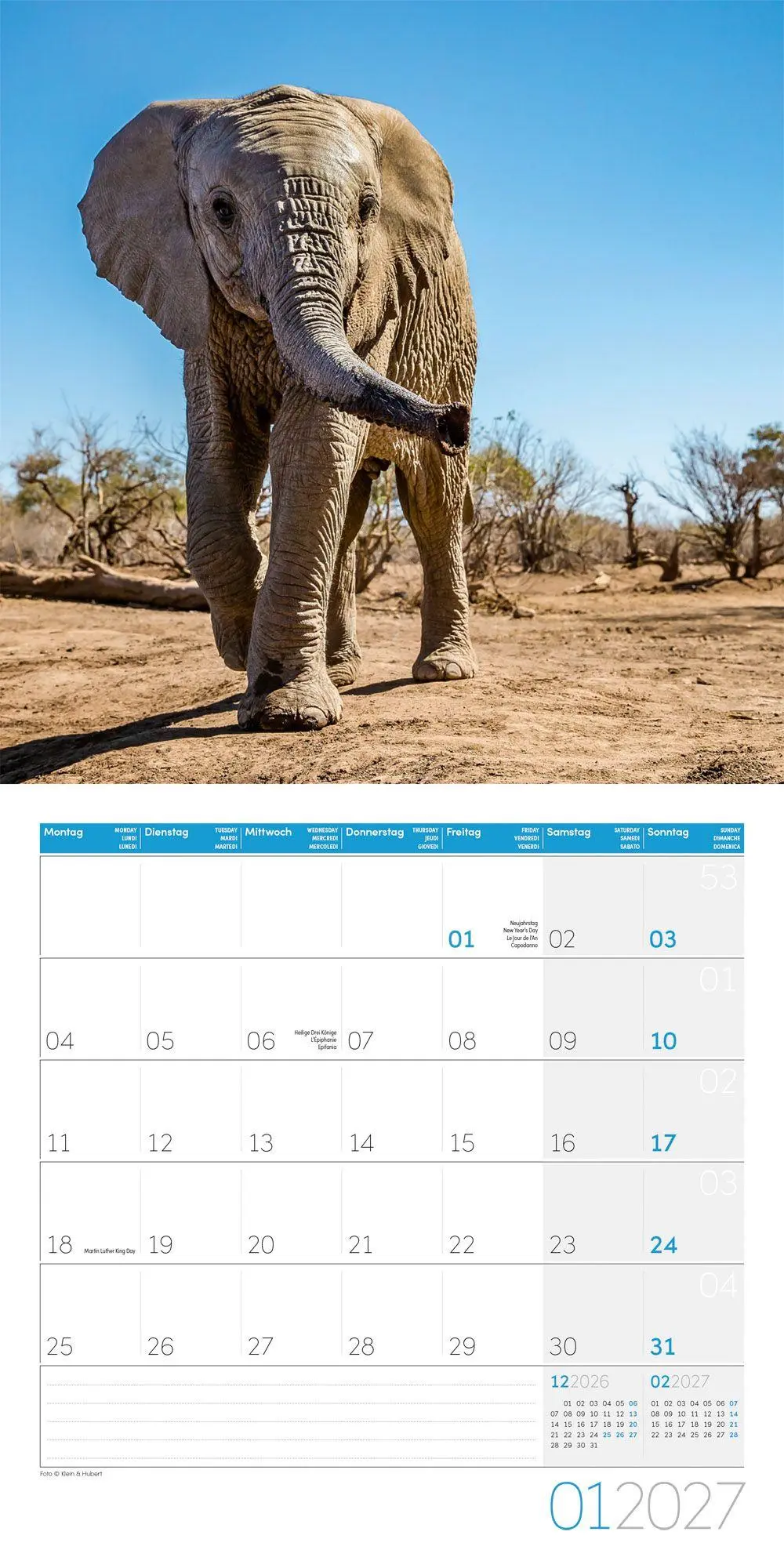 Bild: 9783838447285 | Elefanten Kalender 2027 - 30x30 - Art12 | Ackermann Kunstverlag GmbH