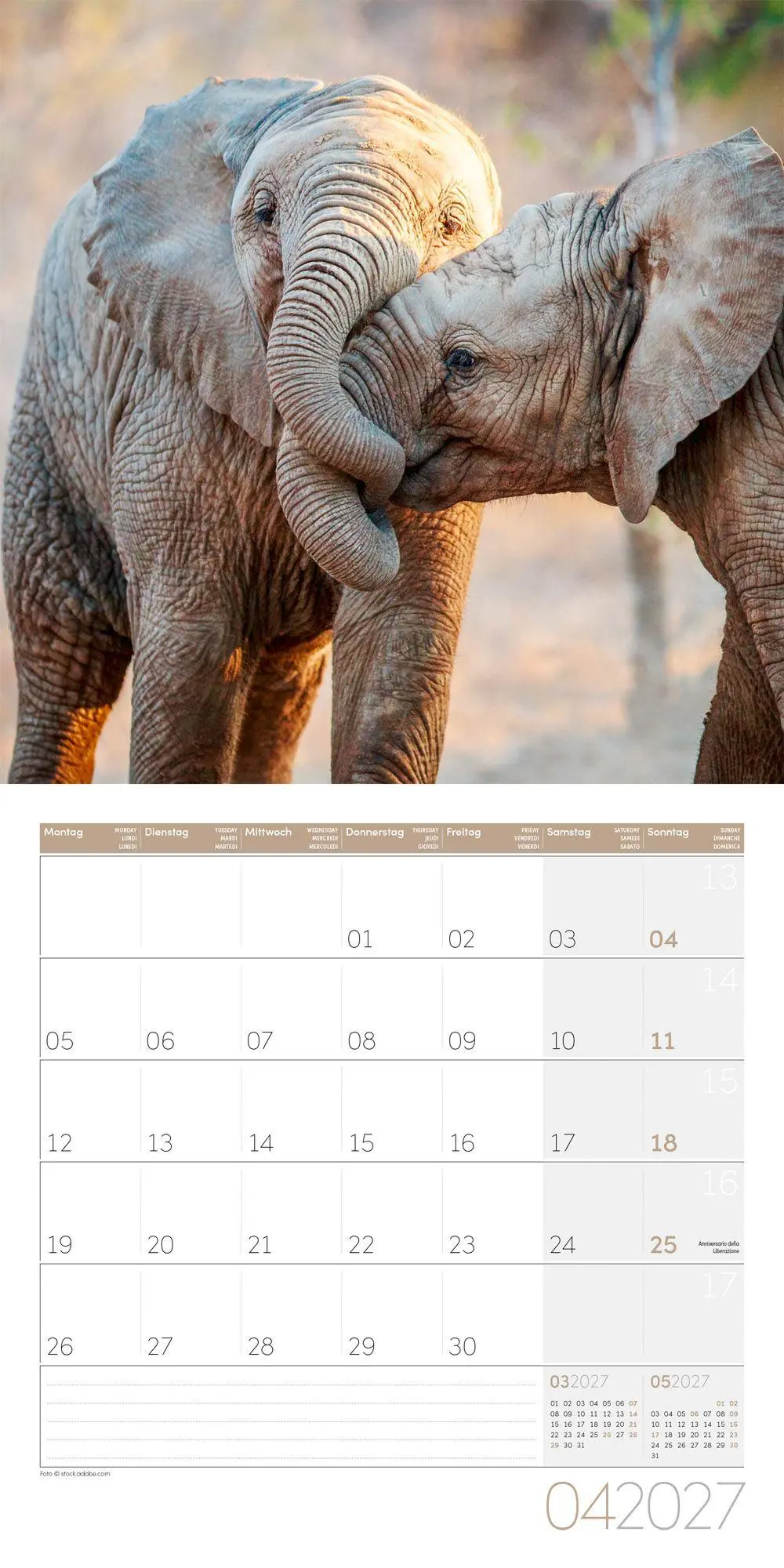 Bild: 9783838447285 | Elefanten Kalender 2027 - 30x30 - Art12 | Ackermann Kunstverlag GmbH