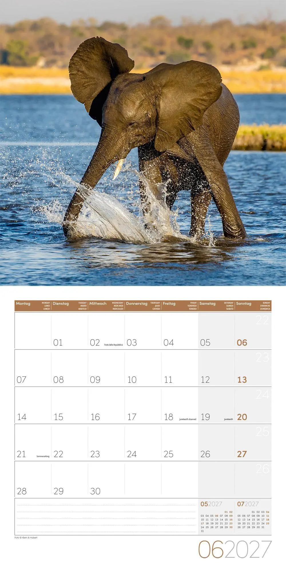 Bild: 9783838447285 | Elefanten Kalender 2027 - 30x30 - Art12 | Ackermann Kunstverlag GmbH