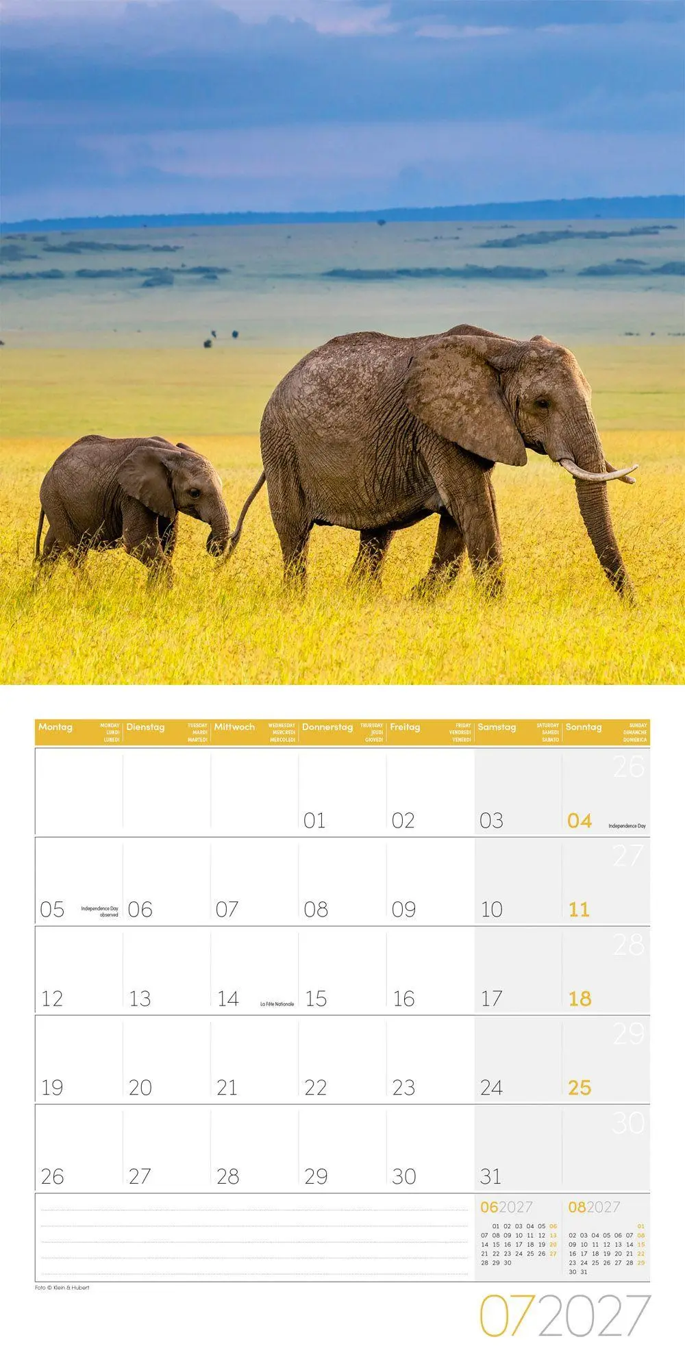 Bild: 9783838447285 | Elefanten Kalender 2027 - 30x30 - Art12 | Ackermann Kunstverlag GmbH