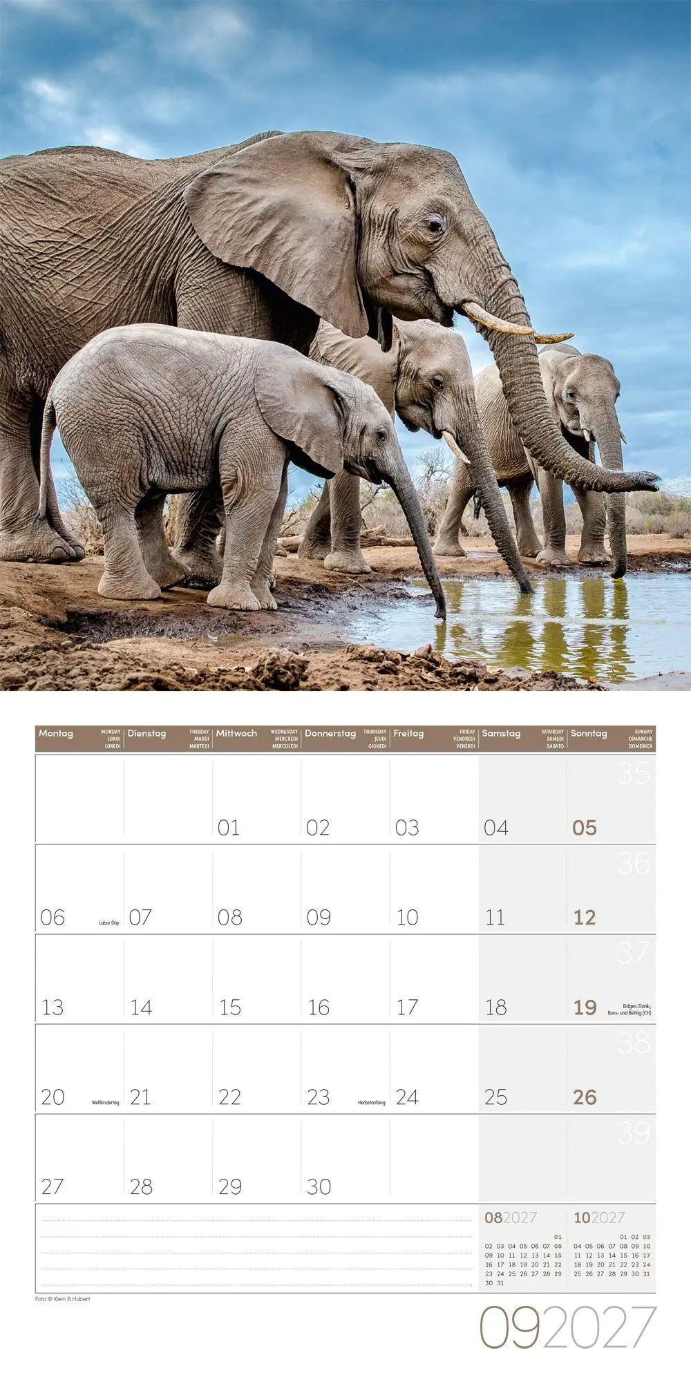 Bild: 9783838447285 | Elefanten Kalender 2027 - 30x30 - Art12 | Ackermann Kunstverlag GmbH