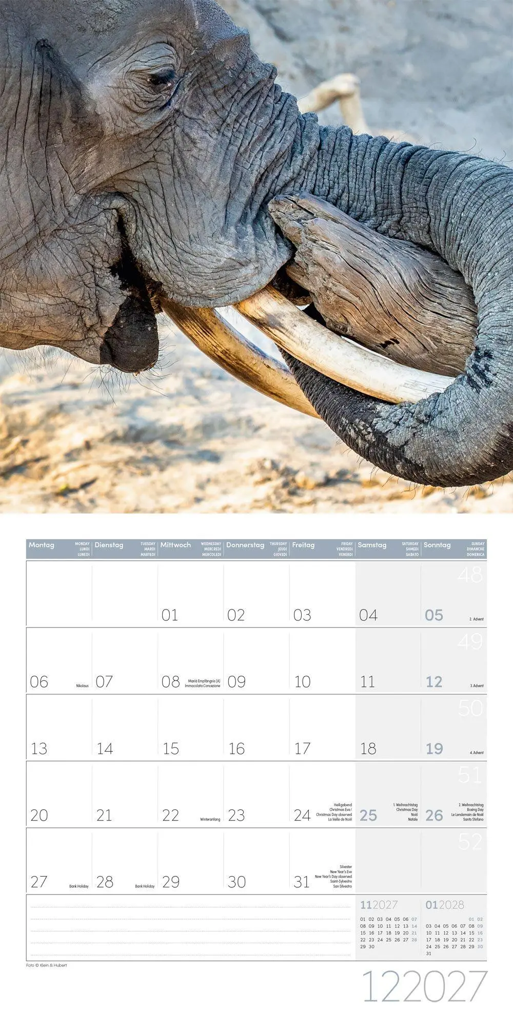 Bild: 9783838447285 | Elefanten Kalender 2027 - 30x30 - Art12 | Ackermann Kunstverlag GmbH
