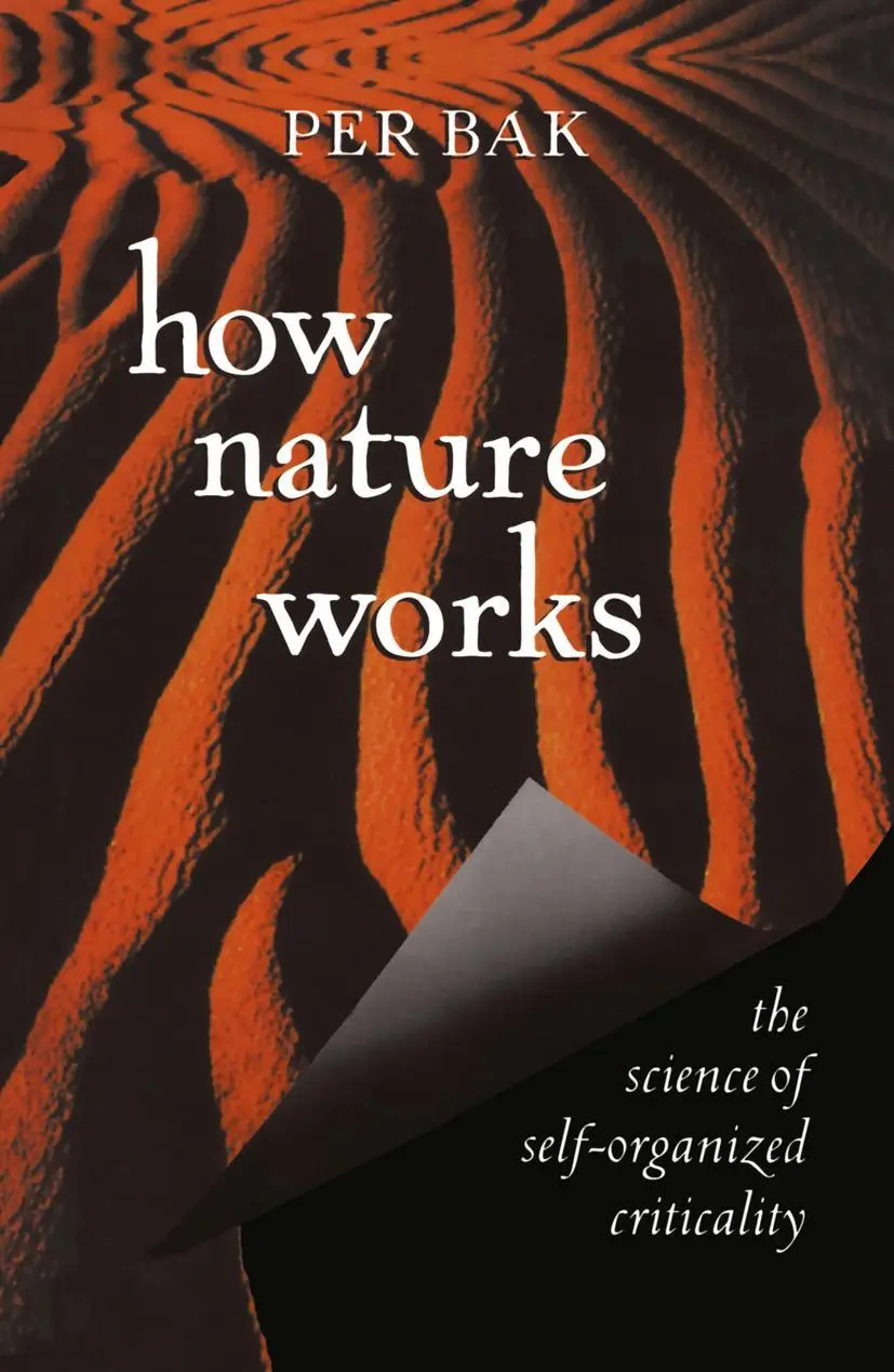 Cover: 9780387987385 | How Nature Works | the science of self-organized criticality | Per Bak