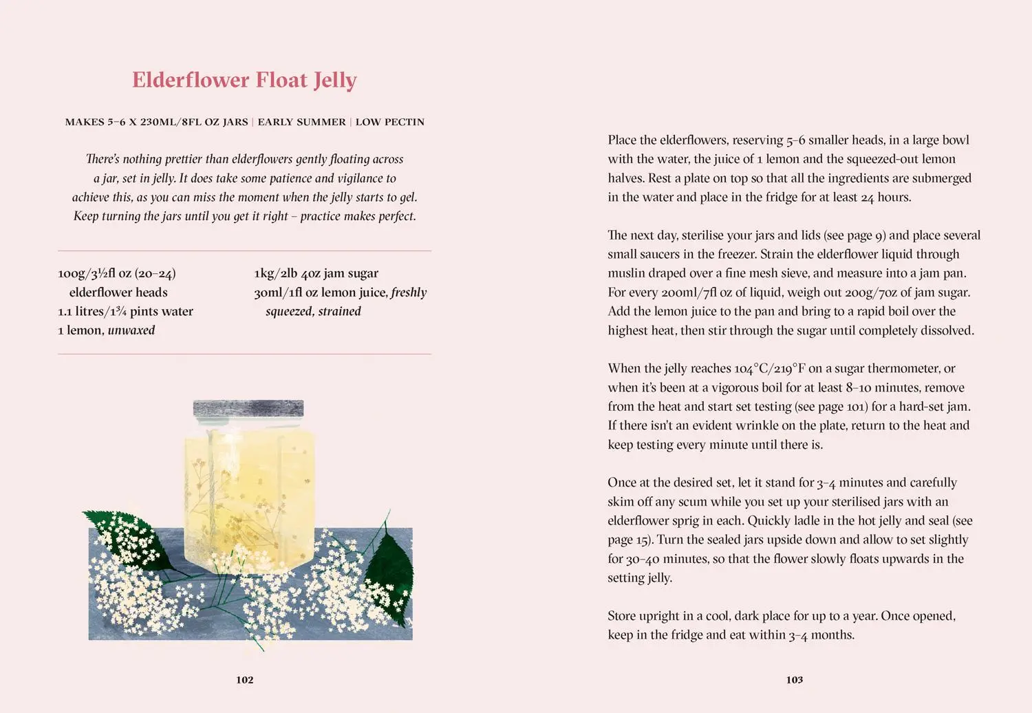 Bild: 9781911657385 | Jams with a Twist | Kylee Newton (u. a.) | Buch | Gebunden | Englisch