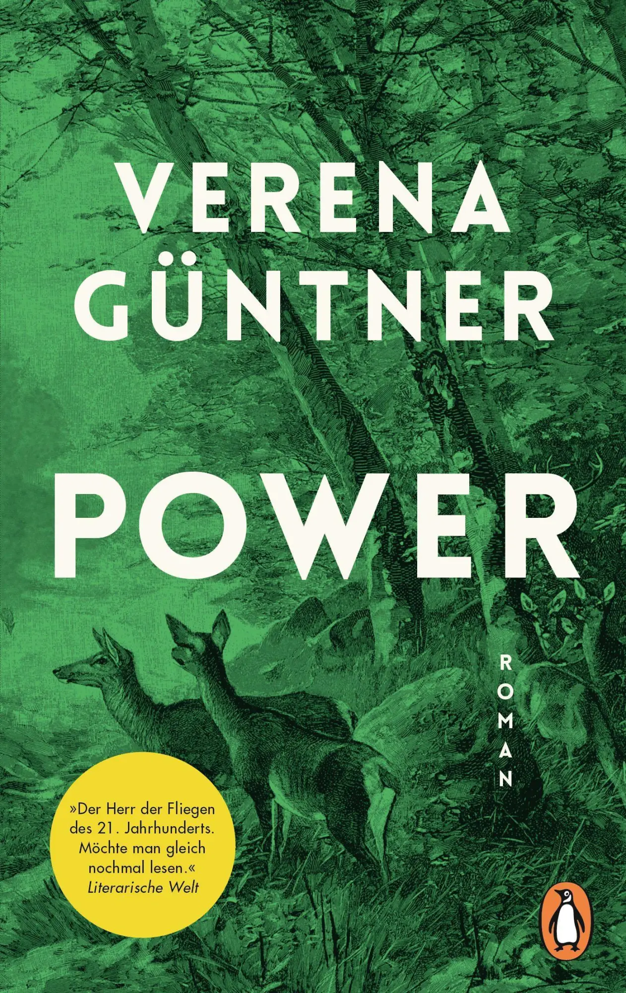 Cover: 9783328107385 | Power | Roman | Verena Güntner | Taschenbuch | 254 S. | Deutsch | 2021