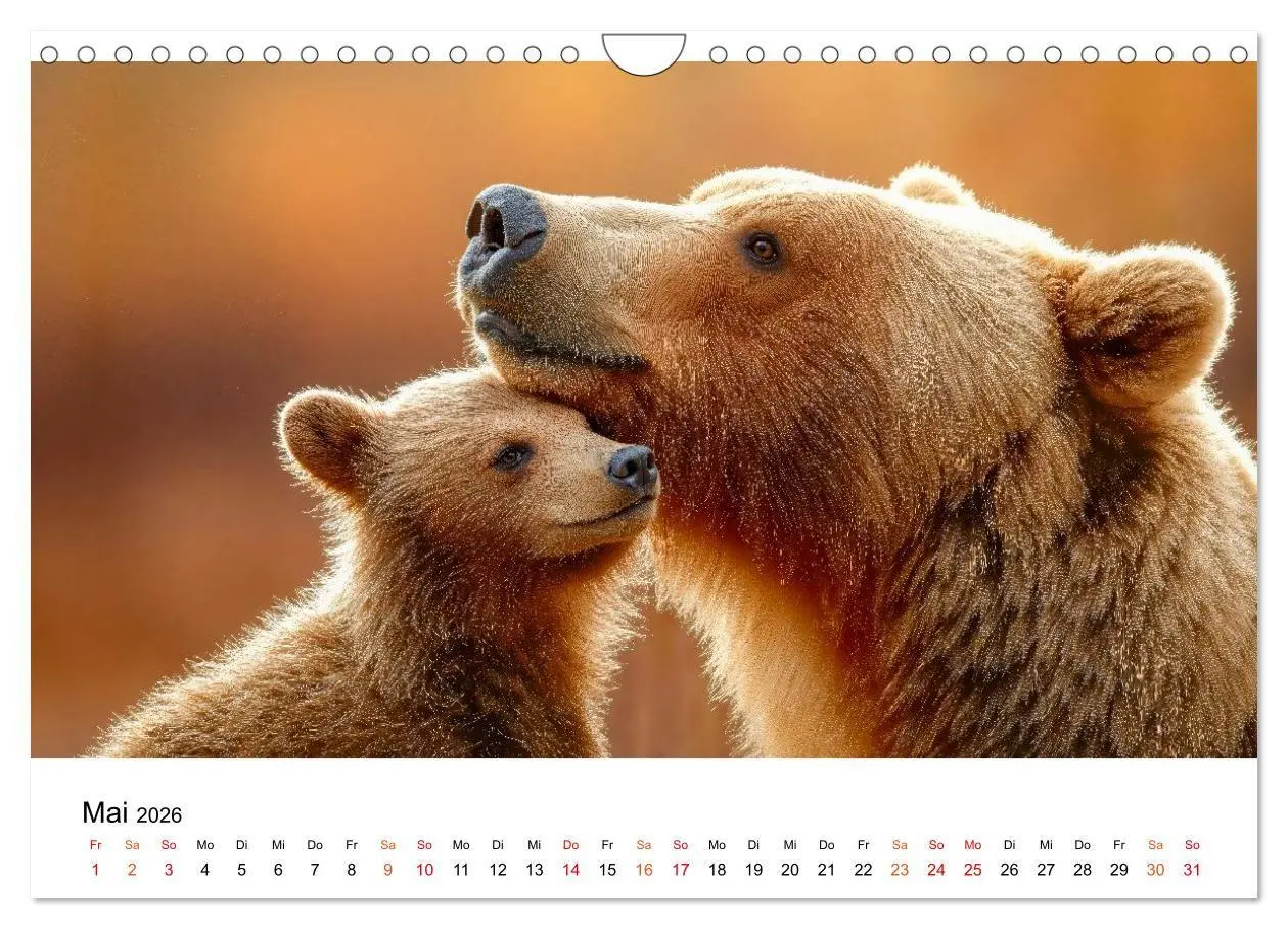 Bild: 9783516687385 | Bären - Die Macht der Natur (Wandkalender 2026 DIN A4 quer),...